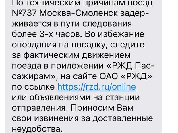 В МЖД назвали причину экстренной остановки «Ласточки» по пути в Смоленск