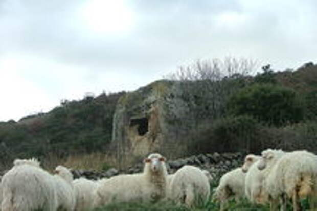 Domus de Janas in Bonnanaro