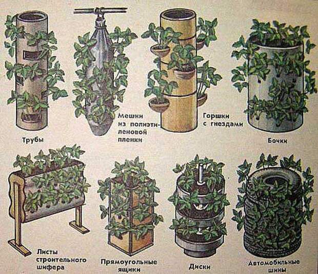 Вертикальное выращивание растений — как сделать вертикальные грядки