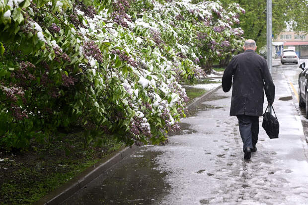 Тишковец: к 8 апреля в Москве возможны сугробы толщиной до 1 см