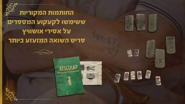 В Израиле на аукционе будет продан тату-набор, с помощью которого нацисты клеймили узников Освенцима