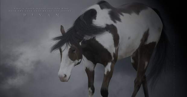 Фантастические лошади в работах Alimarije Zwaagstra (47 картин)