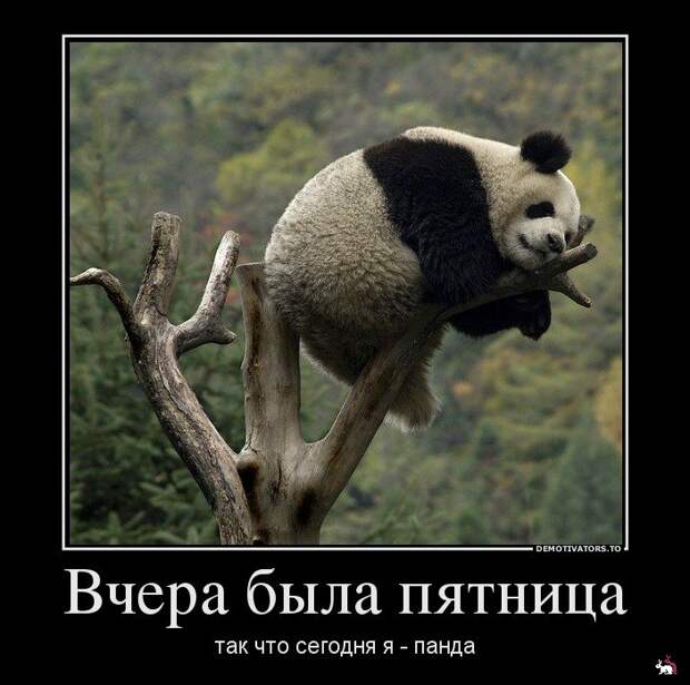 Демотиваторы и мотиваторы. Демки суббота