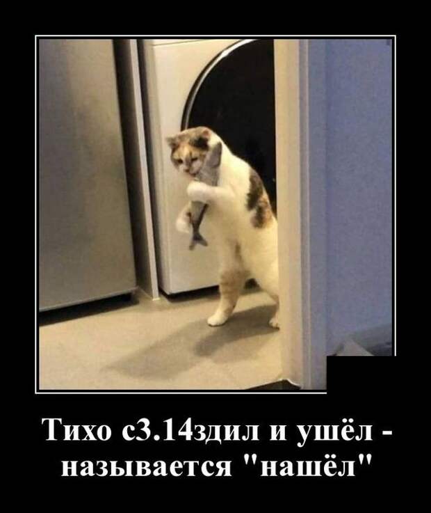 demotivatory-demotivator-smeshnye-demotivatory-demotivator-so-smyslom