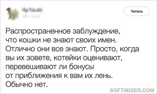 clip_image003