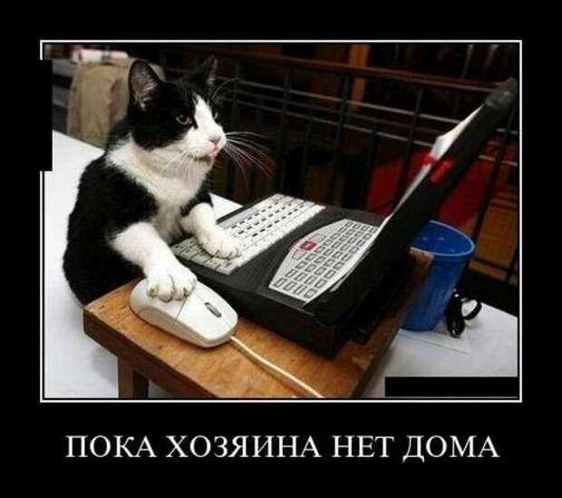 Демотиваторы или очередной сеанс смеха