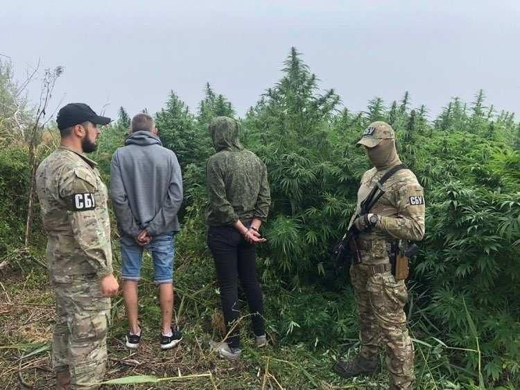 Сможет ли Киев по просьбе Баку не выпускать армян из страны?