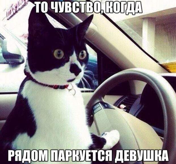 Похожее изображение