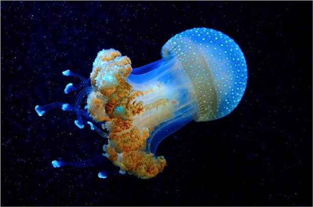 16 умопомрачительных фотографий без грамма фотошопа