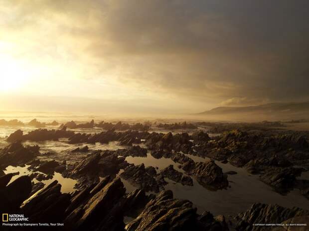 NatGeoMay05 NatGeoMay05 990x742 Обои для рабочего стола от National Geographic за май 2013