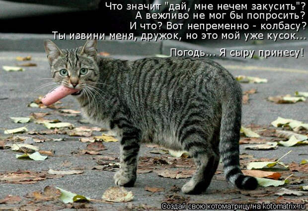 kotomatritsa_7 (673x462, 327Kb)