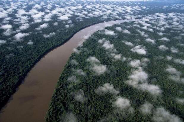 Дождевые леса Амазонии, Венесуэлла