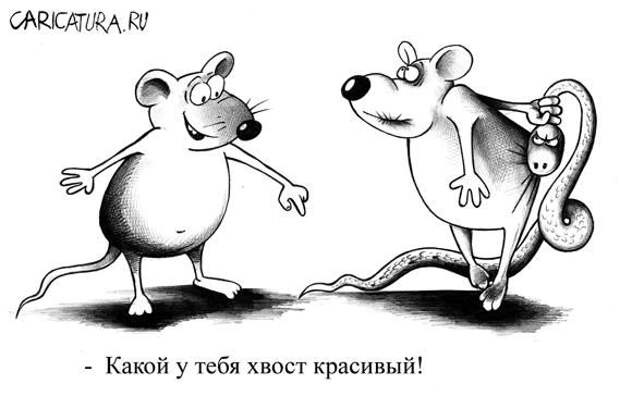 Забавная живность :) (35фото)
