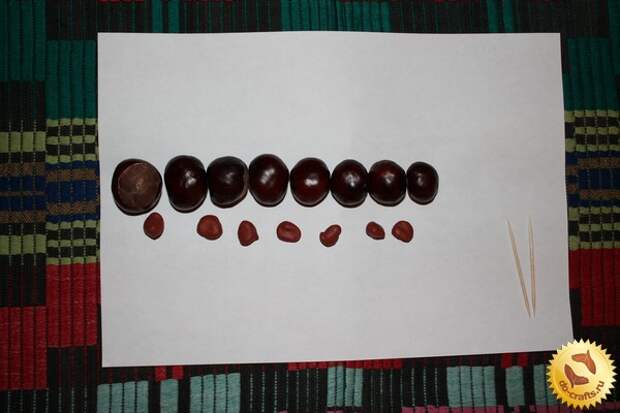 Гусеница из каштанов 3