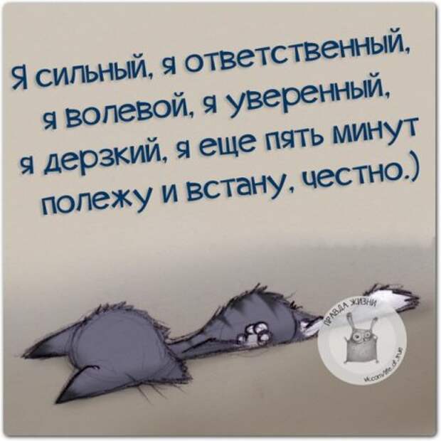 Прикольные "правдивости"