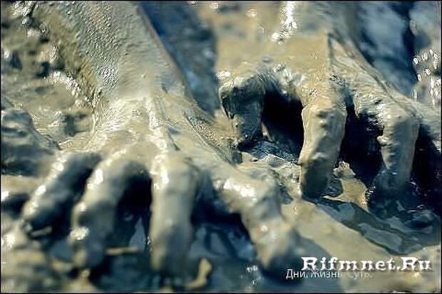 http://rifmnet.ru/uploads/posts/2013-08/1376921688_getimage.jpg