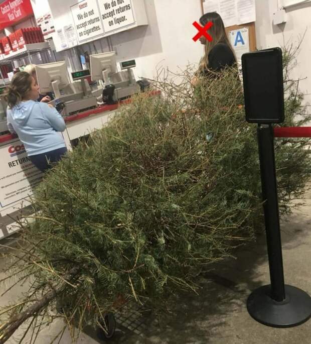 Американка попыталась вернуть елку в магазин после праздников америка, в мире, возврат, елка, люди, магазин, юмор