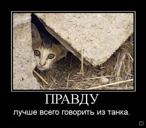 Позитивные демотиваторы для веселья (11 фото) Позитивные демотиваторы для веселья (11 фото)
