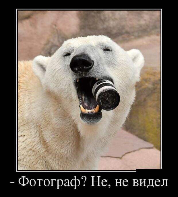 Демотиваторы (30 фото)