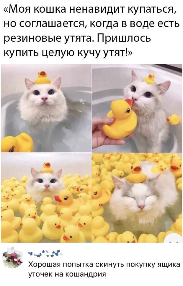 www.vsyako.net