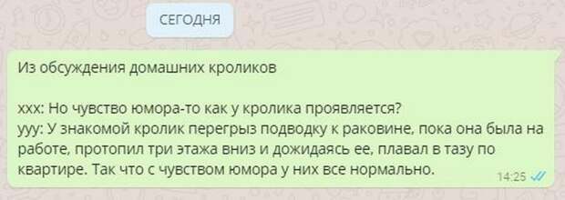Прикольные картинки 24.08.17