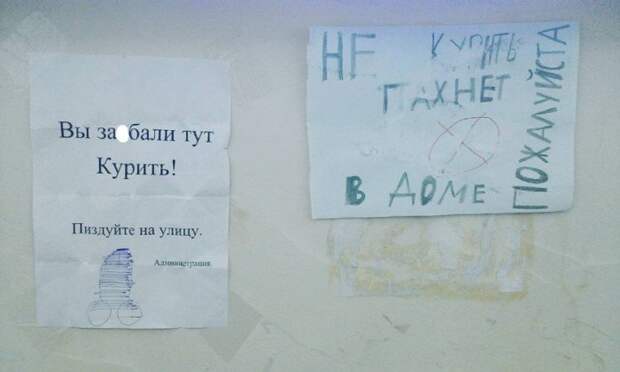 Соседей не выбирают Соседей не выбирают