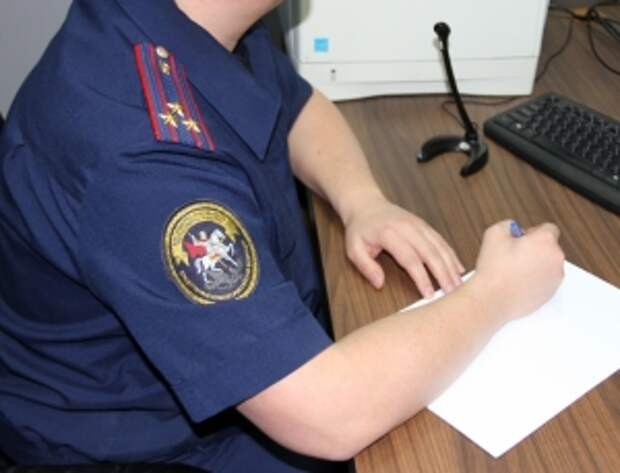 В центральный аппарат СК России затребован доклад в связи с информацией о хулиганских действиях приезжих в Москве