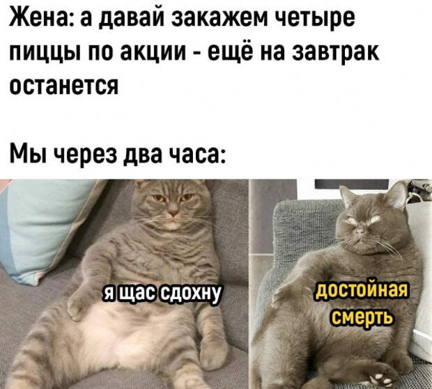 Лучшие свежие картинки с надписями (среда)