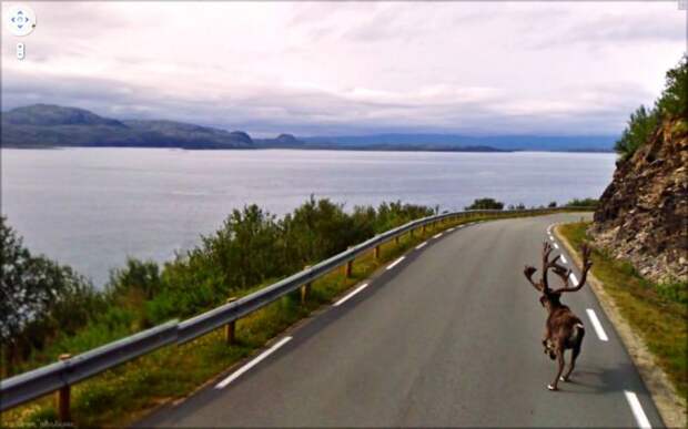 Неординарные снимки из сервиса Google Street View (47 фото) Неординарные снимки из сервиса Google Street View (47 фото)