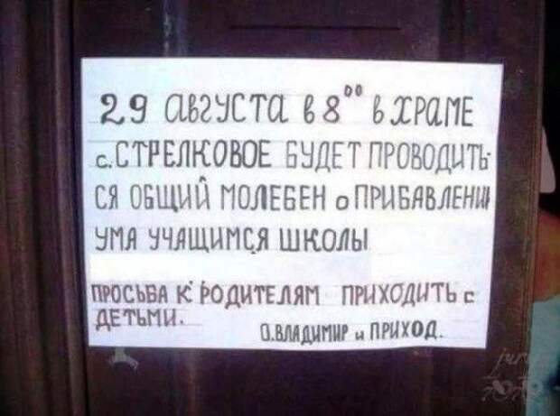 Прикольные картинки