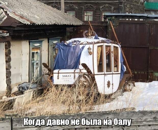 Подборка картинок. Вечерний выпуск (20 фото)