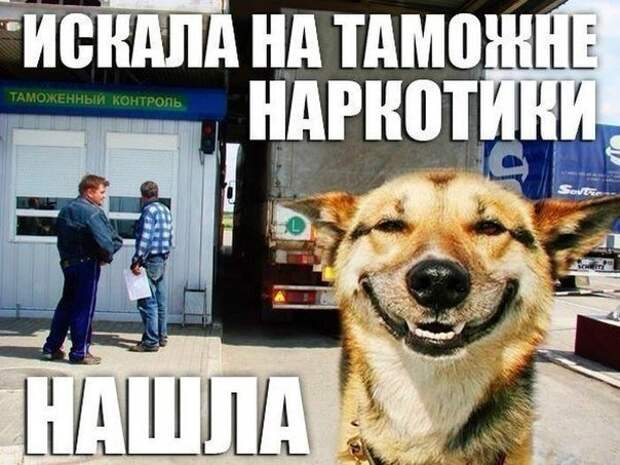 Всё в кучу 22