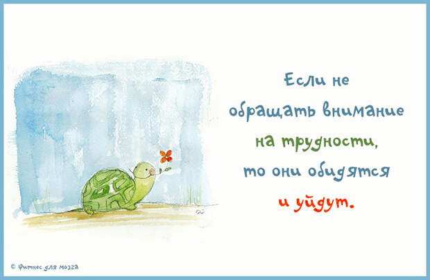 Совет дня