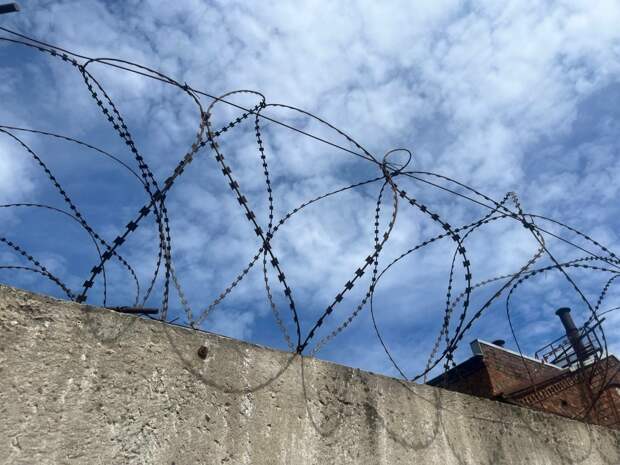 Виновные в мошенничестве с обналом маткапитала получили сроки в Петербурге