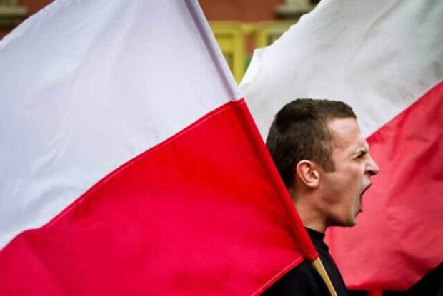 Гельминты из Польши разбушевались: кому мешает всерусское единство