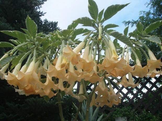 Все обо всем – 25 фактов, о которых знают не все