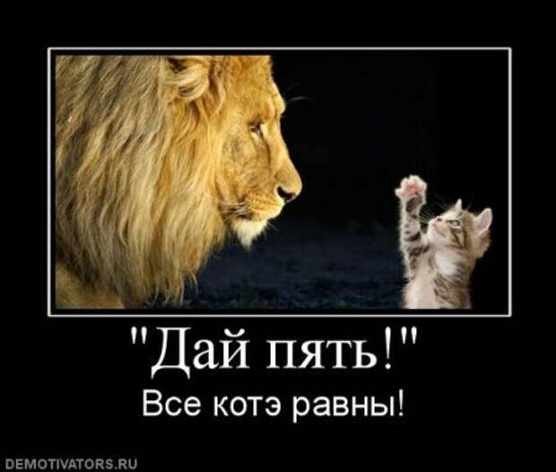 Есть свободная минутка? Удели ее смешным демотиваторам.