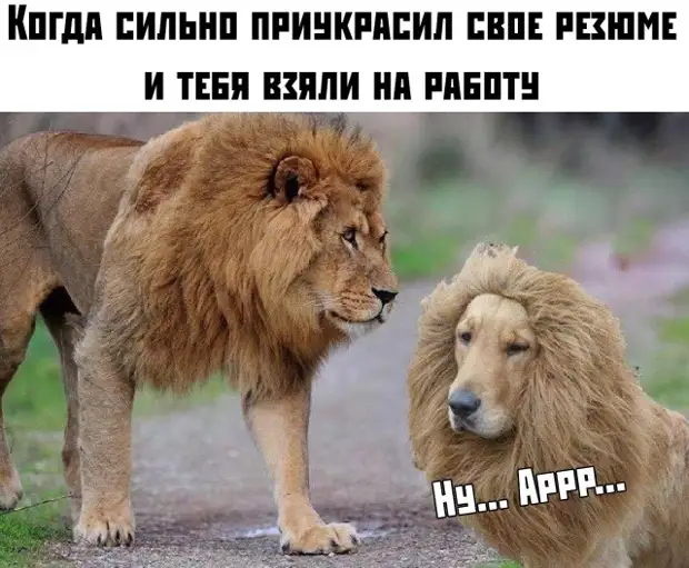 Из всех видов спорта предпочитаю лежачий: силовое скоростное переворачивание с бока на бок Из всех видов спорта предпочитаю лежачий: силовое скоростное переворачивание с бока на бок страна, главная, Включаешь, вечером, знает, стороны, двадцать, вернулись, зятёк, никто, сколько, осталось, вздыхая, проблемаПроводник, томто, налила, приходит, вокзал, узнает, поезд