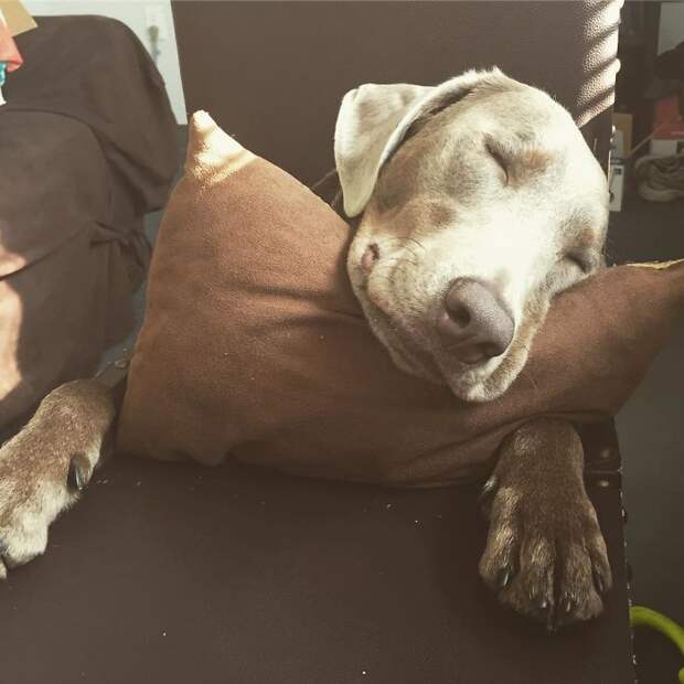 Midday Nap