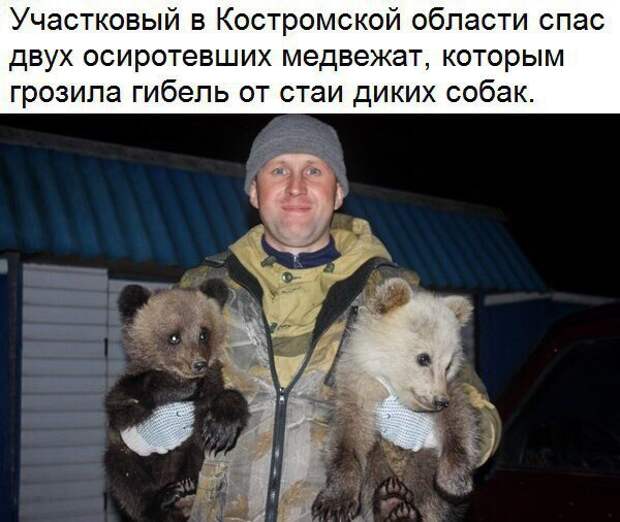 Юмор помогает пробудиться от крепкого сна