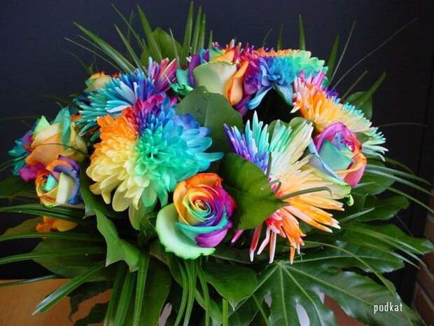 Flowers Send Flowers Gift Flowers Wedding Flowers " Blog Archive " Amazing Happy Flowers Wallpapers
