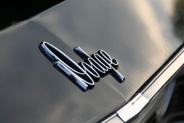 День коллекционеров в США (71 фото) День коллекционеров в США (71 фото)