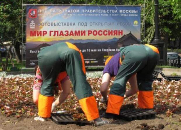 Надписи,объявления