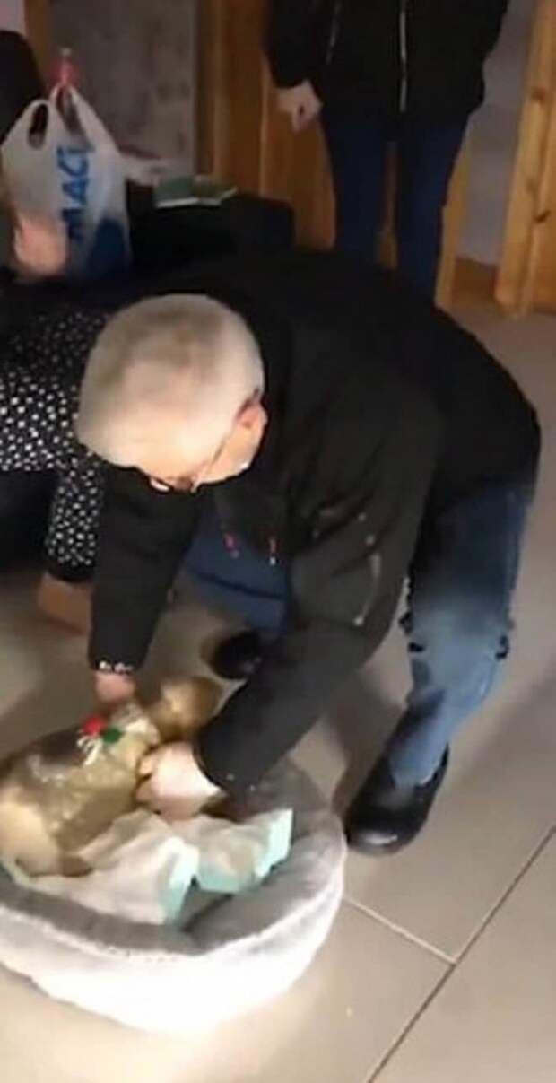 Дедушка берет щенка