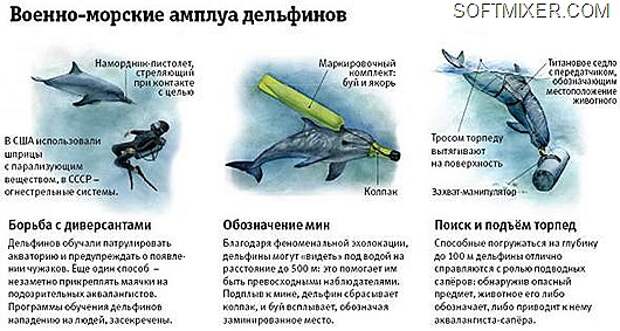 clip_image001
