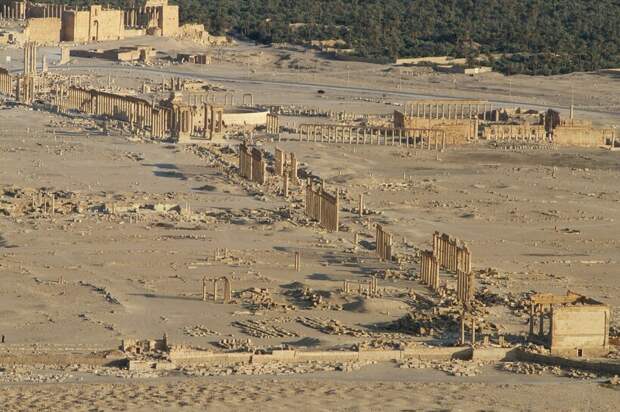 Пальмира — сокровищница, которой больше нет