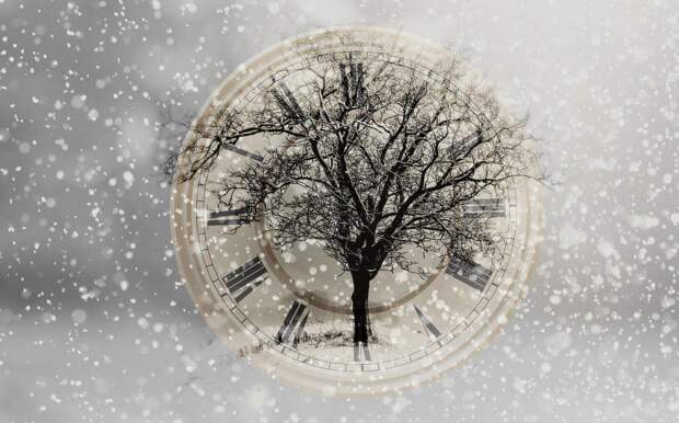 Фото: pixabay.com