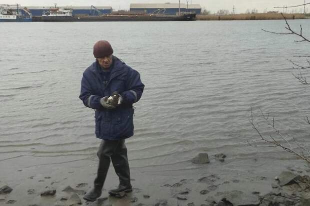 В Ростове-на-Дону спасатели вызволили собаку и её слепого щенка из ледяной реки