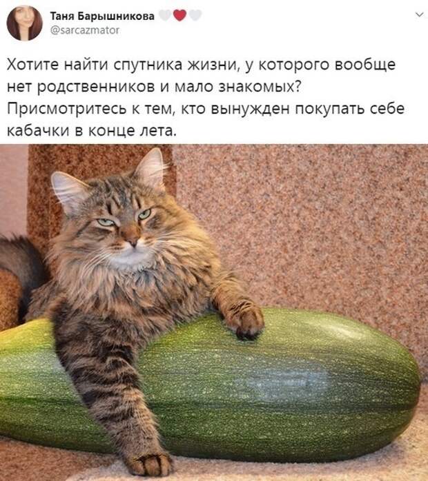 Годный совет, кстати