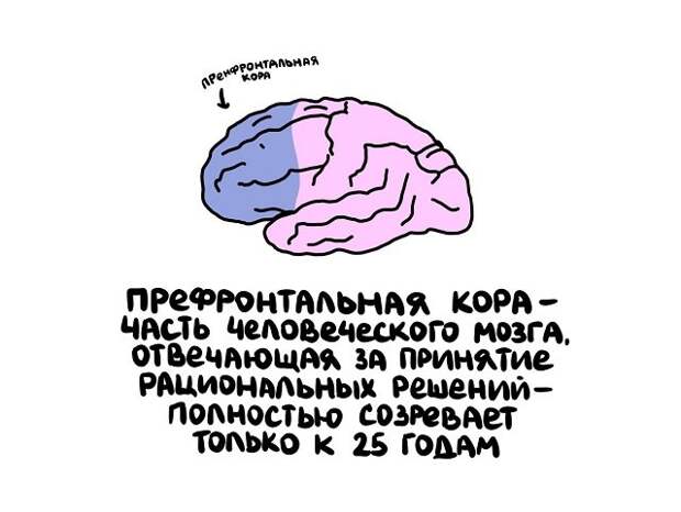 Интересные факты на все случаи жизни
